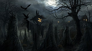 scarecrow digital wallpaper, Jack O' Lantern, Halloween