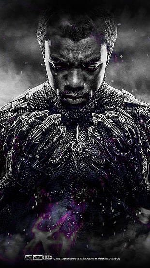 Chadwick Boseman as Black Panther digital wallpaper, T’Challa, Black Panther, Marvel Cinematic Universe, Chadwick Boseman