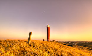 landscape photo of red lighthouse during golden hour HD wallpaper