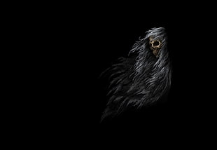 skull with long white hair illustration, dark, dark fantasy, skull