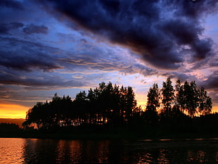 black and brown abstract painting, clouds, water, sunset, trees