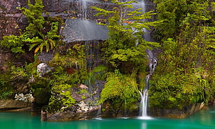 waterfalls with green plants, Chile, Patagonia, waterfall, ferns