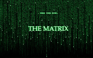 The Matrix movie, The Matrix