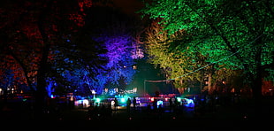colorful, trees, lights, park