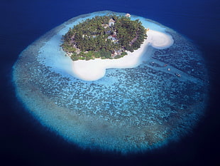 aerial photograph of island, island, nature, landscape, beach HD wallpaper