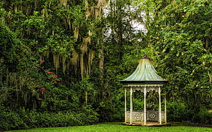 teal and white gazebo, forest, nature, park