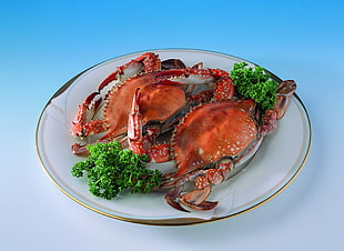 three fried crabs on white porcelain plate HD wallpaper