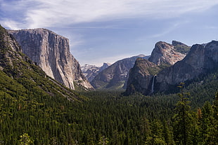 green trees surrounded by mountains under clouds, yosemite valley