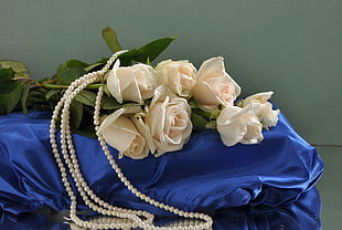 bouquet of white Roses placed in blue satin textile HD wallpaper
