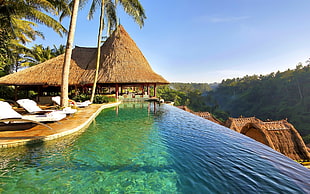 brown hut, nature, landscape, swimming pool, palm trees
