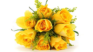 yellow Rose flowers