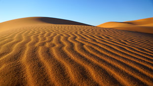 brown sand desert during daytime, morocco