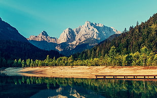 green trees, mountains, lake, landscape, nature HD wallpaper