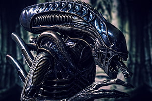 Alien movie poster, Xenomorph, aliens, movies HD wallpaper
