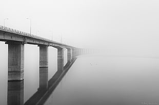 architectural photography of gray concrete bridge