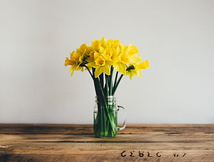 yellow daffodil flower arrangemnet