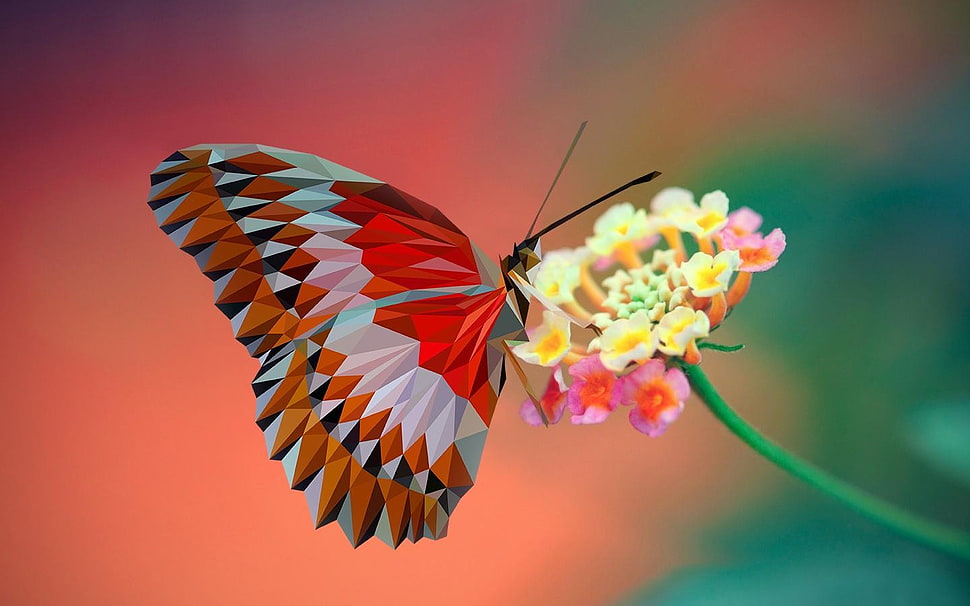 red, gray, and orange butterfly, butterfly, low poly, nature, closeup HD wallpaper