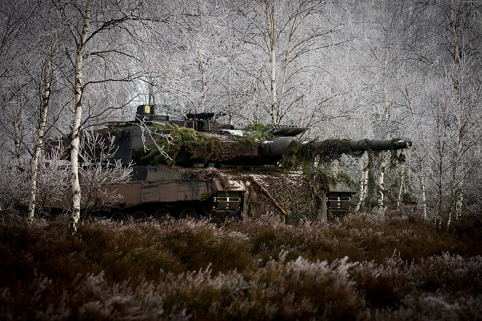white and black battle tank at forest HD wallpaper