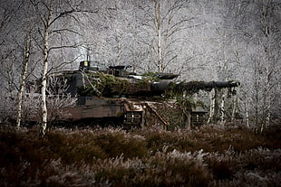 white and black battle tank at forest