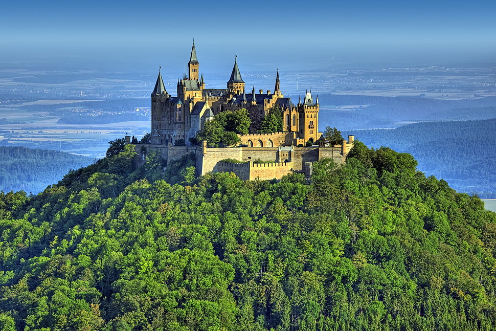 brown concrete castle, landscape, castle, forest, building HD wallpaper