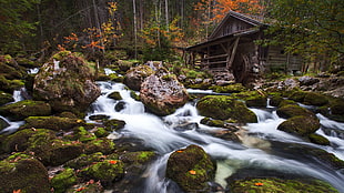 brown wooden house, nature, landscape, river, long exposure