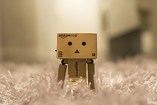 brown Amazon robot toy, Danbo, Japan, Japanese, Japanese Garden