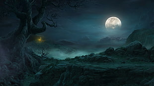 Diablo III, moonlight, video games, digital art