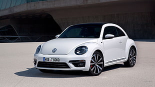 white Volkswagen New Beetle coupe, car, Volkswagen