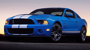 blue Ford Mustang Shelby, car, Ford Shelby GT500, Shelby GT500, Ford Mustang HD wallpaper