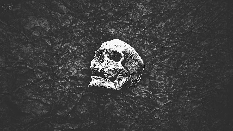 black skull wallpaper, skull, black, white, abstract HD wallpaper