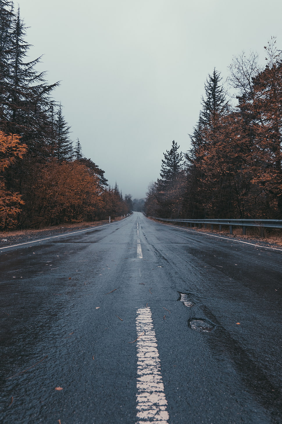 gray concrete road, Road, Marking, Trees HD wallpaper