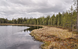 landscape photography of lake during daytime
