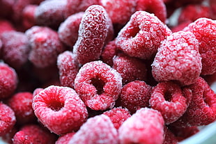 frozen raspberry HD wallpaper