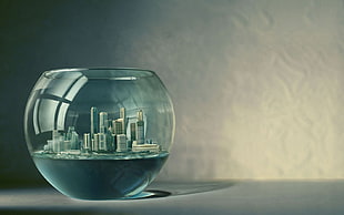 clear glass fish bowl, Platinum Conception Wallpapers, Photoshop