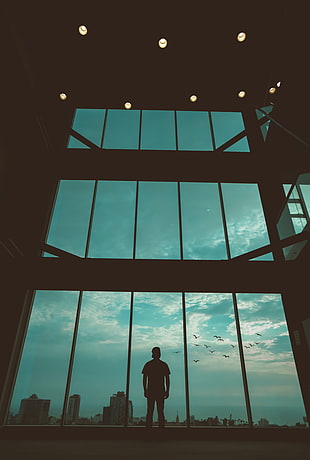 silhouette of man, Man, Silhouette, Window