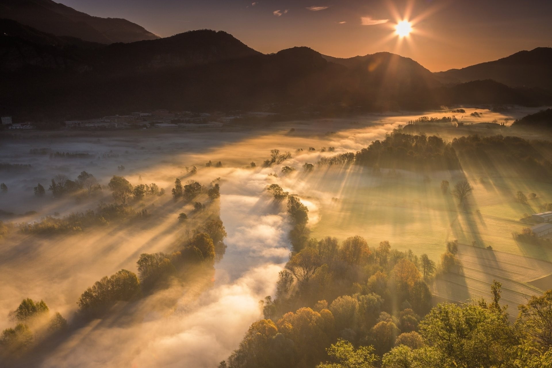 trees and sunset, nature, Sun, sunrise, landscape