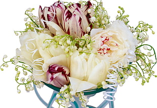 white-and-red Tulip flower bouquet