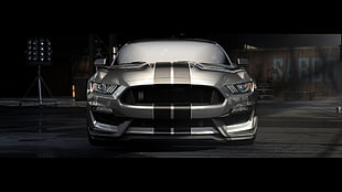 gray sports car digital wallaper, car, Ford Mustang Shelby, Shelby GT 350