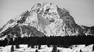 greyscale photo of mountain cover with snow