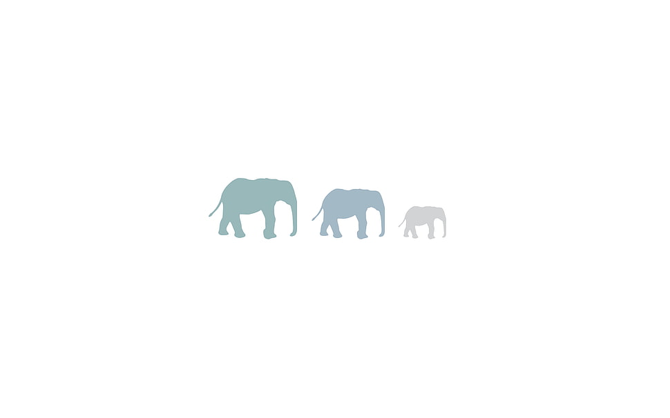 three gray and teal elephant silhouette HD wallpaper