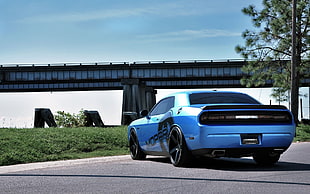 blue Dodge Challenger coupe, car, Dodge, Dodge Challenger, road