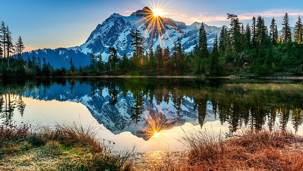 green pine trees, landscape, forest, mountains, sun rays HD wallpaper