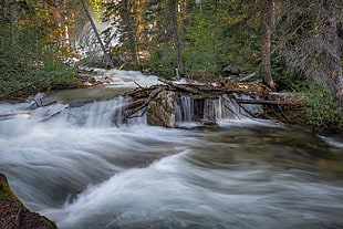 timelapse photo of river on forest during daytime, jenny lake, grand teton np