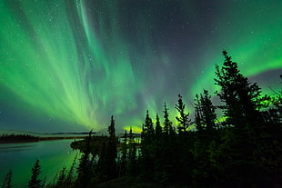 Aurora Borealis photo, twin lakes HD wallpaper