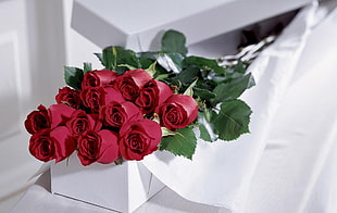 red rose bouquet HD wallpaper
