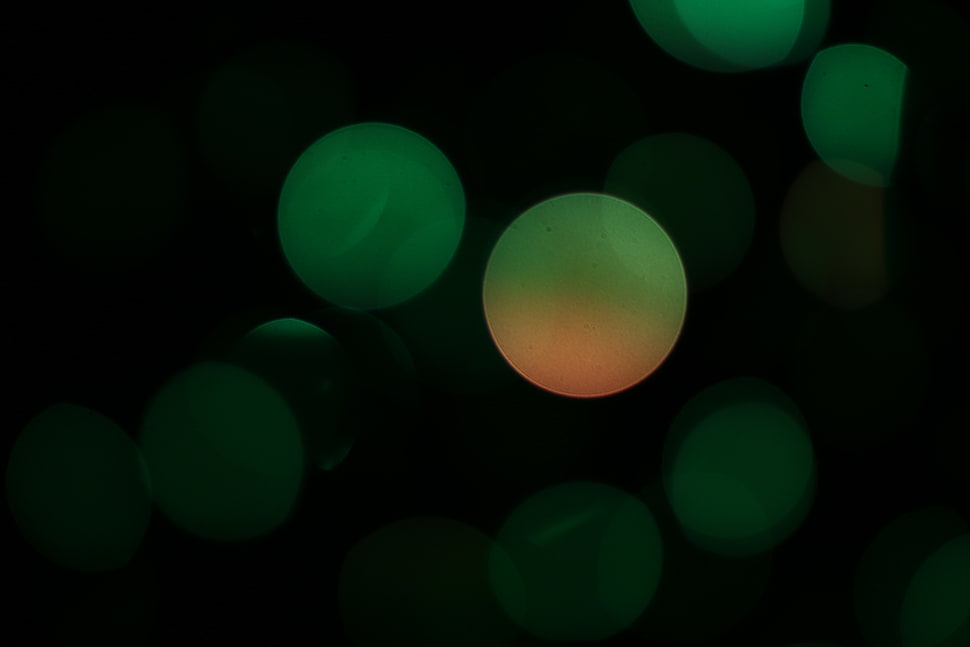 green and black bokeh lights HD wallpaper
