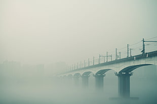 stock photography of white concrete bridge during foggy weather