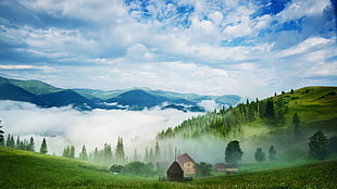 landscape view of sea of clouds from mountain