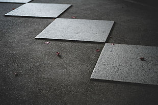 gray concrete tiles, minimalism, leaves