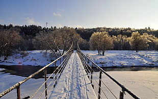 white and brown bridge, nature, landscape, bridge, snow HD wallpaper